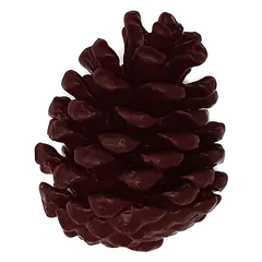 Waxed pinecone Burgundy