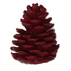 Waxed pinecone Cerise