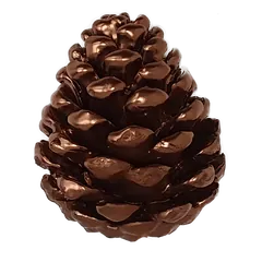 Pinecone Copper
