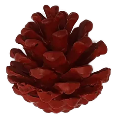 Pinecone Light Red
