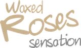 Waxed Roses Sensation – naar home