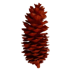 Waxed sugarpine Light Red