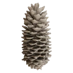 Waxed sugarpine White