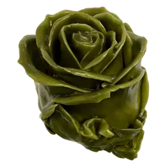 Waxed rose W10 Olive Green, Avalanche, front view