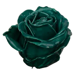 Waxed rose W16 Green, Avalanche, front view