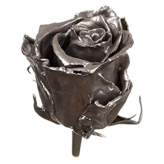 Waxed rose W22 Silver, Athena, front view
