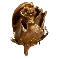 Waxed rose W23 Gold, Athena, front view