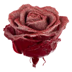 Waxed rose W41 Snowy Burgundy & Red, VIP Edition