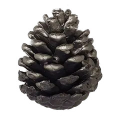 Pinecone Silver
